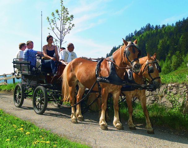 Carriage rides South Tyrol riding stable Sulfner in Hafling