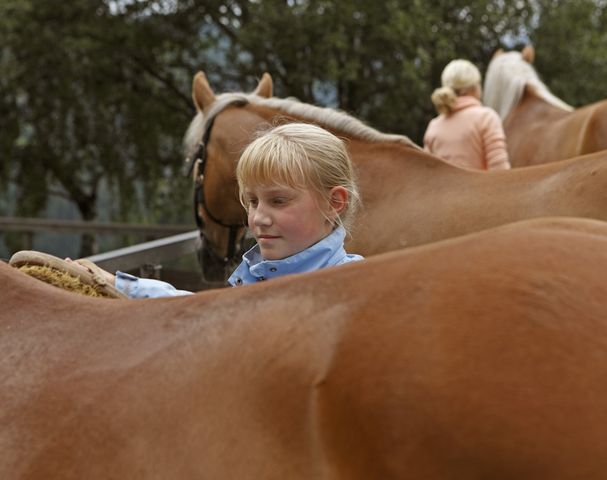 Holiday Sulfner Riding Stable Hafling