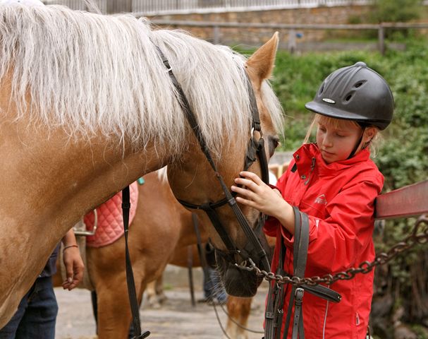 Family holiday South Tyrol riding stable Sulfner Hafling