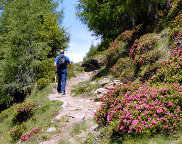 Escursione Rosa Alpina Alto Adige Avelengo Hotel Sulfner