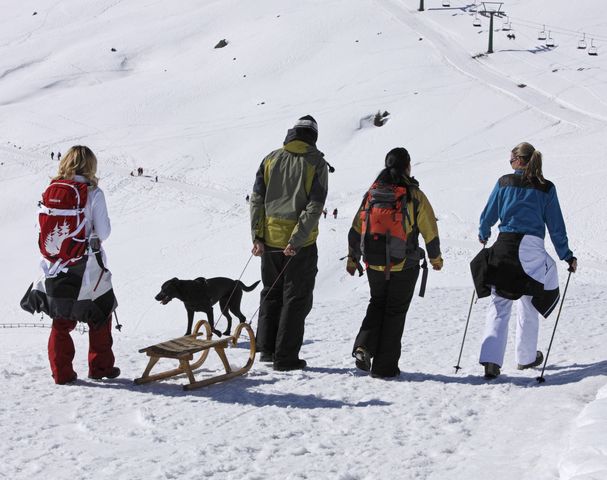 Winterwandern Rodeln Meran 2000 Hafling Südtirol