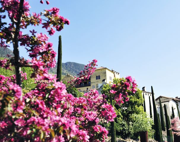 Trauttmansdorff Castle Gardens Places of interest South Tyrol