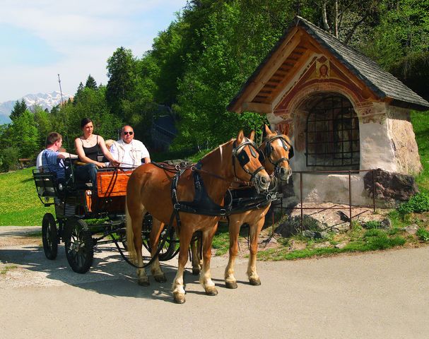 Carriage rides Hafling riding stable Sulfner South Tyrol