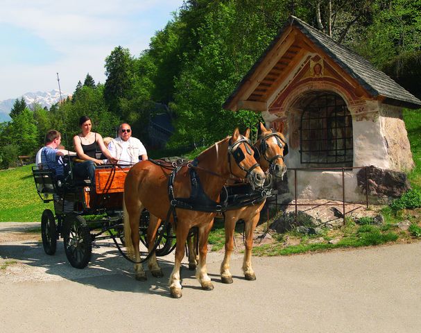 Gite in carrozza Avelengo maneggio Sulfner Alto Adige