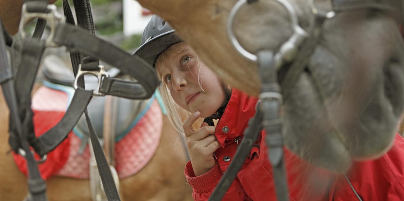 Reitunterricht Südtirol Reitstall Sulfner Hafling | Lezioni di equitazione Alto Adige maneggio Sulfner Avelengo | Riding lessons South Tyrol Sulfner riding stable Hafling