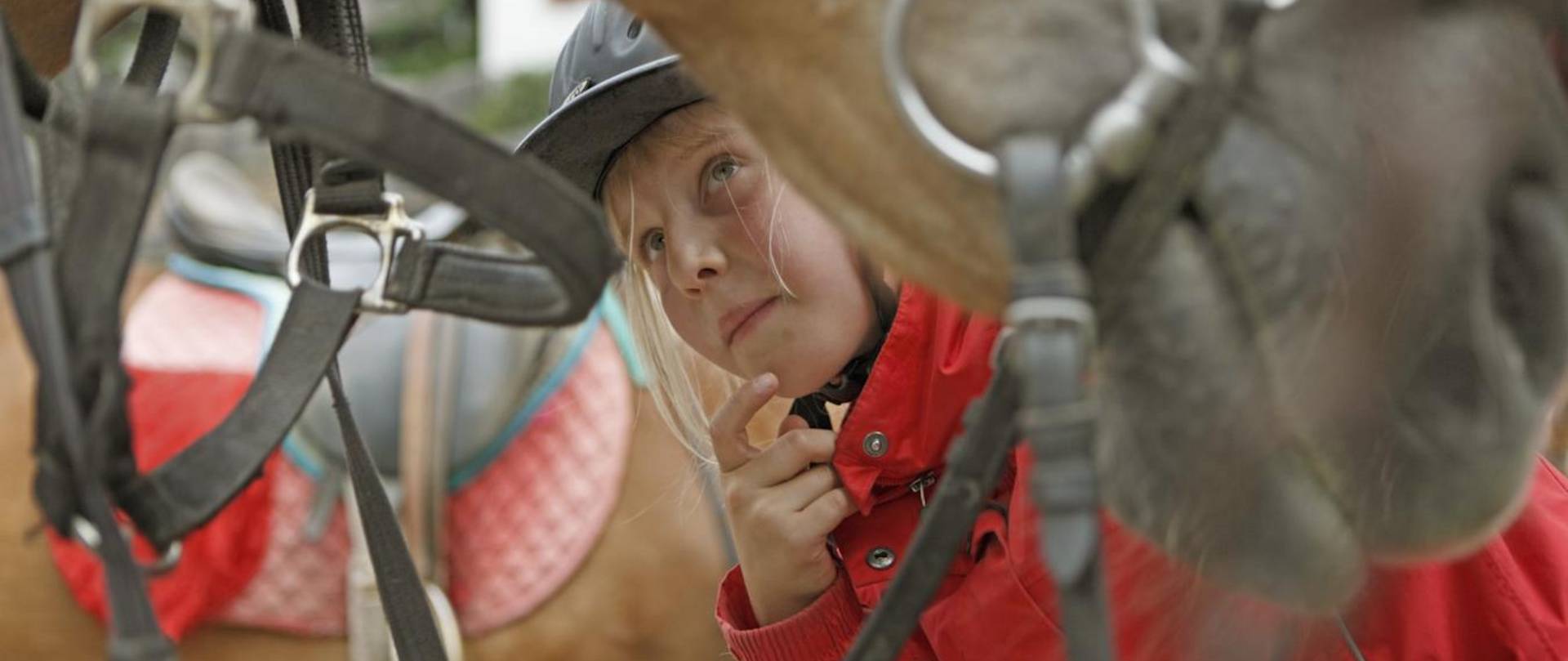 Reitunterricht Südtirol Reitstall Sulfner Hafling | Lezioni di equitazione Alto Adige maneggio Sulfner Avelengo | Riding lessons South Tyrol Sulfner riding stable Hafling