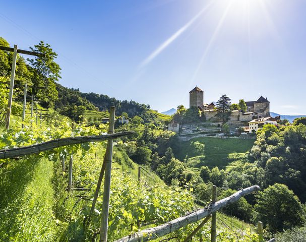 Castle Tyrol - South Tyrolean Museum of Culture and Provincial History