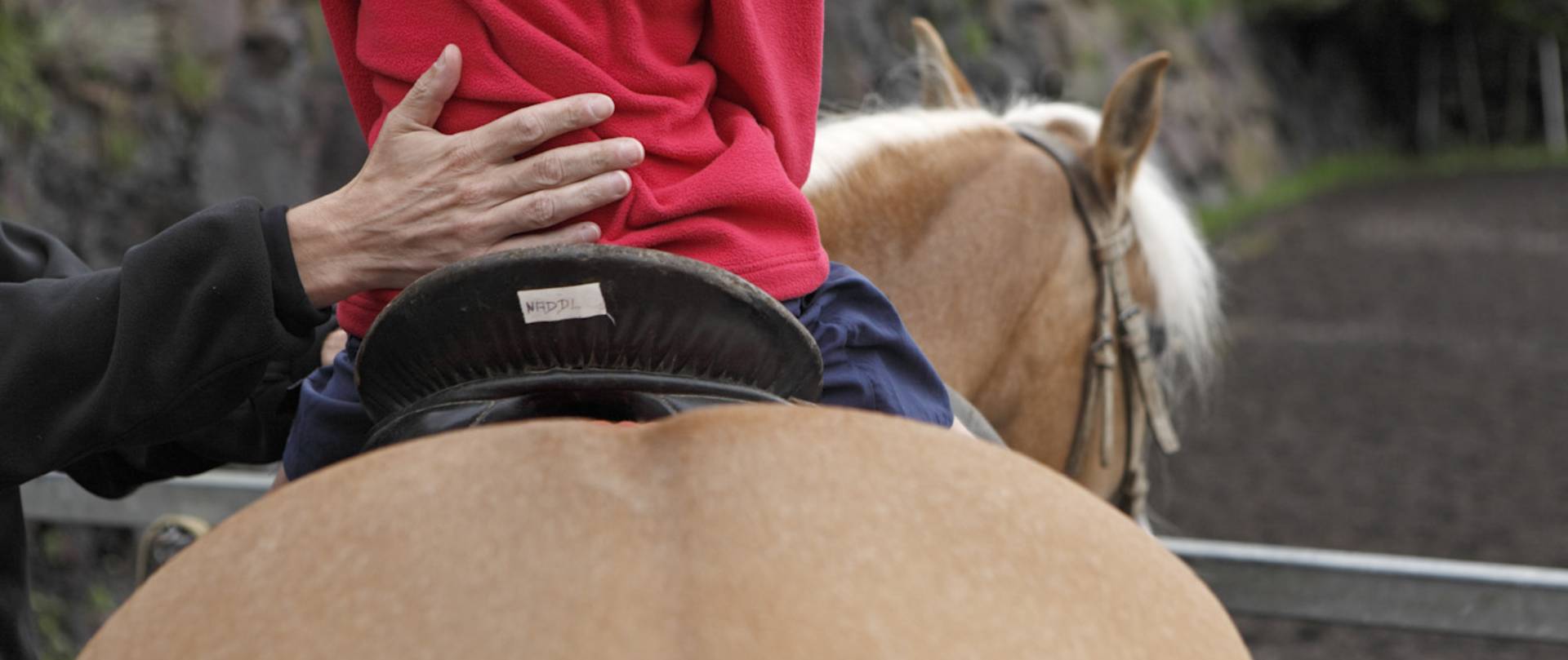 Reiterhof Sulfner in Südtirol Reitspaß | Maneggio Sulfner Alto Adige divertimeno cavalli | Riding stable Sulfner South Tyrol riding fun