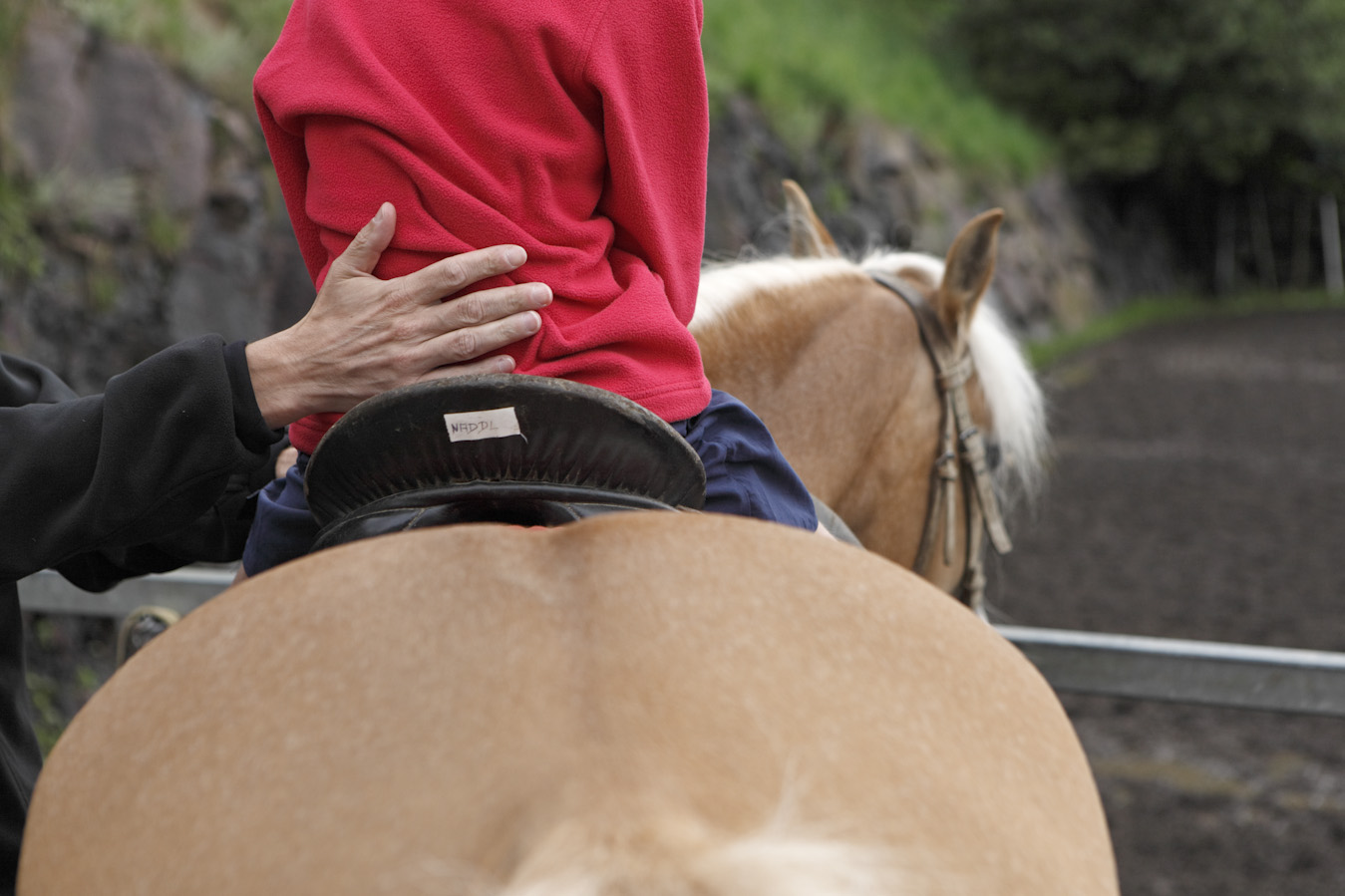 Reiterhof Sulfner in Südtirol Reitspaß | Maneggio Sulfner Alto Adige divertimeno cavalli | Riding stable Sulfner South Tyrol riding fun