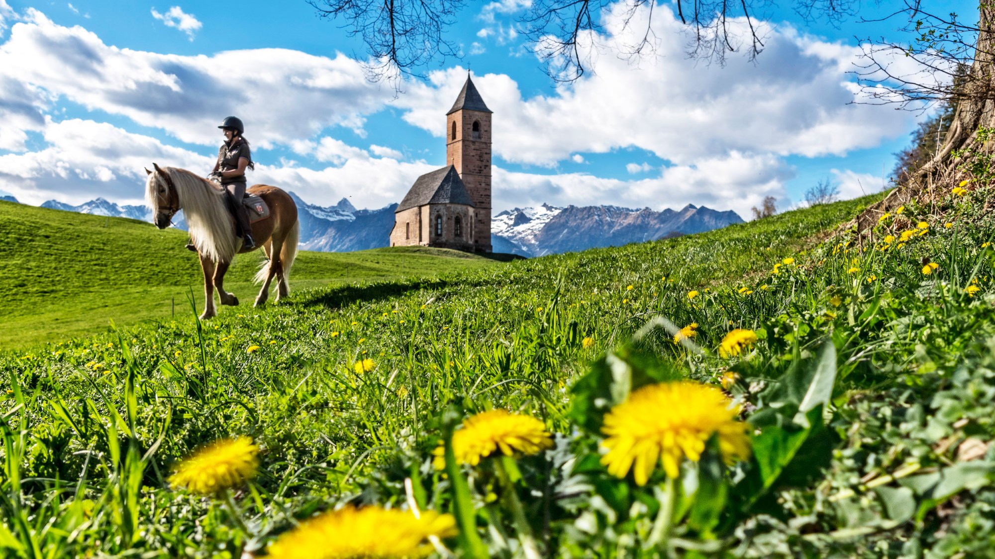 Reiturlaub Reiterhof Sulfner Hafling Hotel | Vacanze a cavallo maneggio Sulfner Avelengo | Riding Holiday Sulfner Riding Stable Hafling Hotel